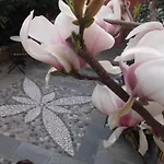 Hotel Boutique Hotel Kokkino Spiti 3*