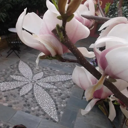 Hotel Boutique Hotel Kokkino Spiti 3*